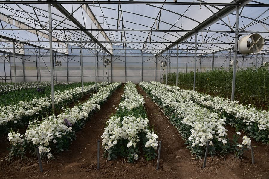 Maharashtra Institute of Technology Infrastructure & Facilities photo 8